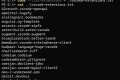 导出和批量安装 VS Code 扩展