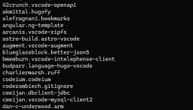 导出和批量安装 VS Code 扩展